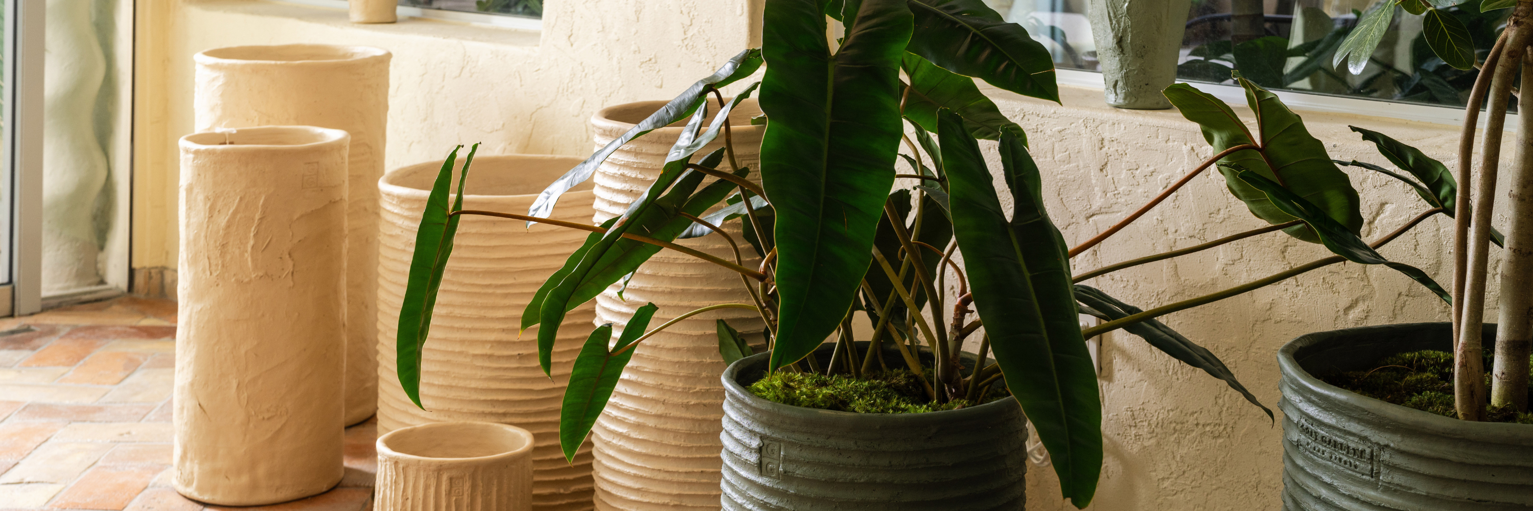 Handmade ceramic pots with sculptural greenery