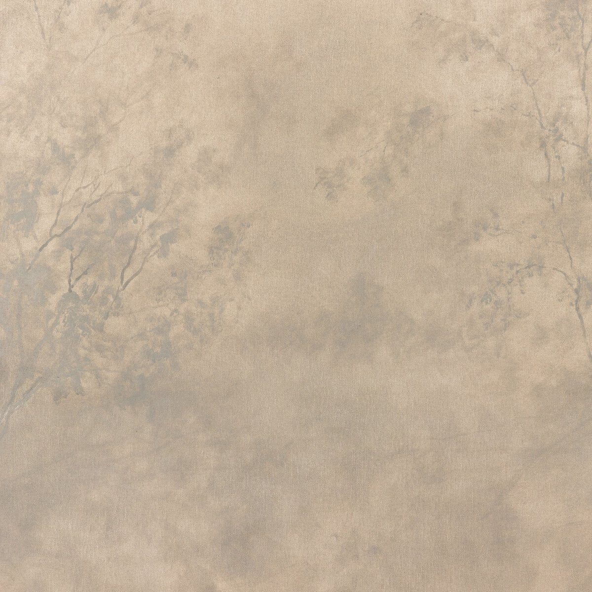 The Clearing by Aileen Fitzgerald