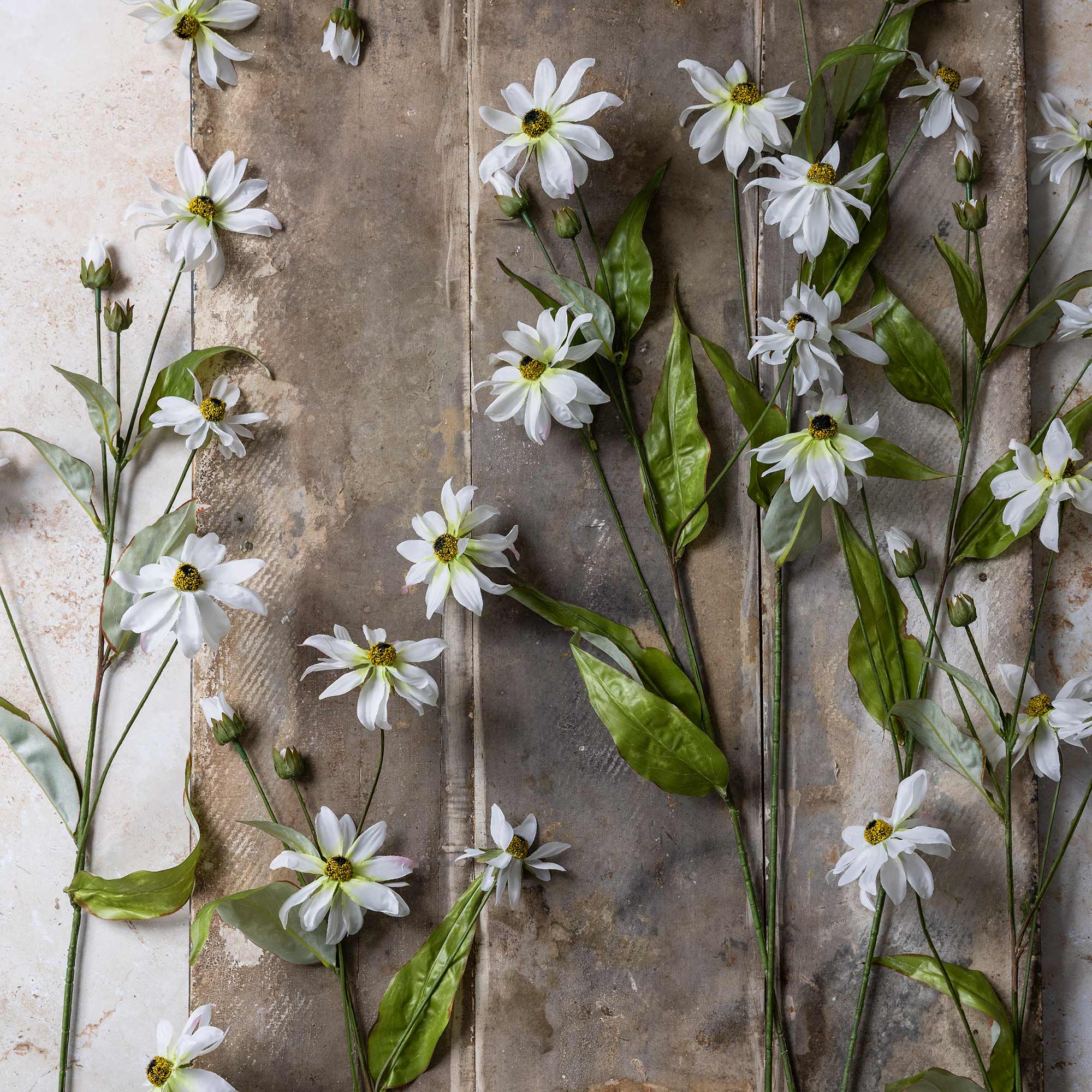 Artificial Wild Cosmos by Abigail Ahern