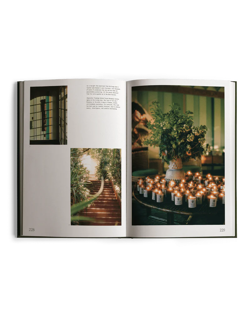 Fridays From the Garden Cookbook