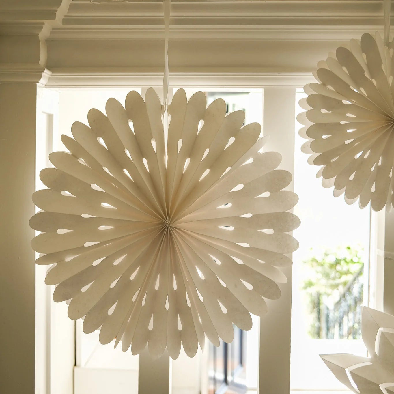 Curved White Star - Large