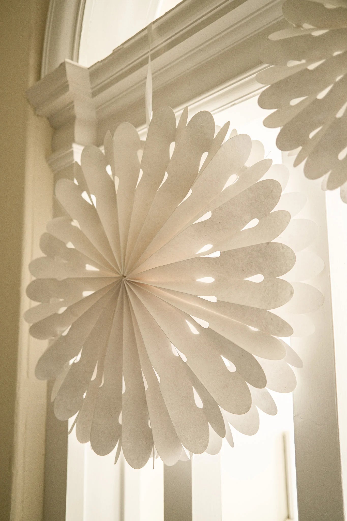 Curved White Star - Large