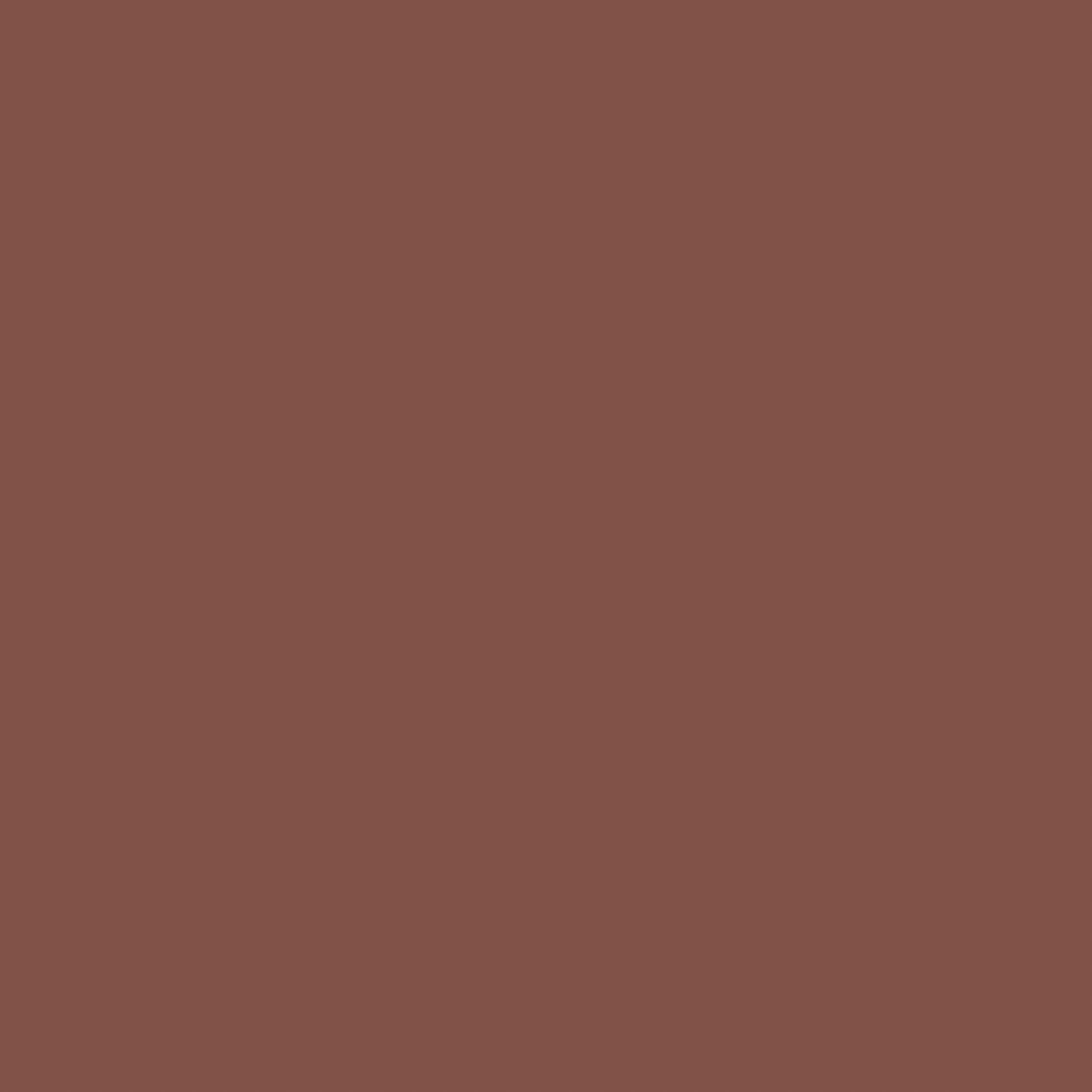 Etruscan Red No.56 by Farrow & Ball