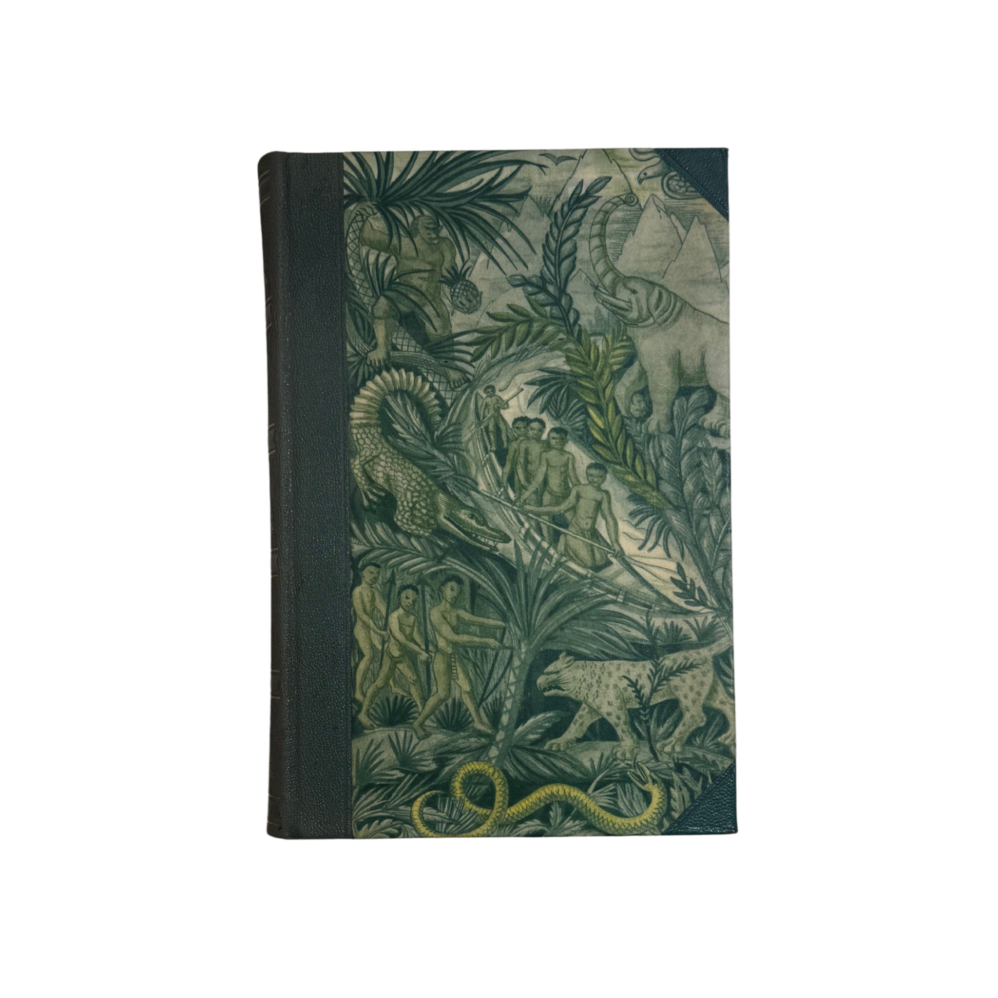 David Livingstone, Rese Berättelser - Book Set (S2)