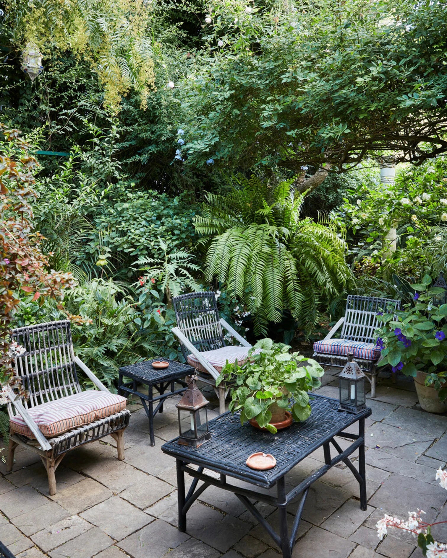 The House of a Lifetime