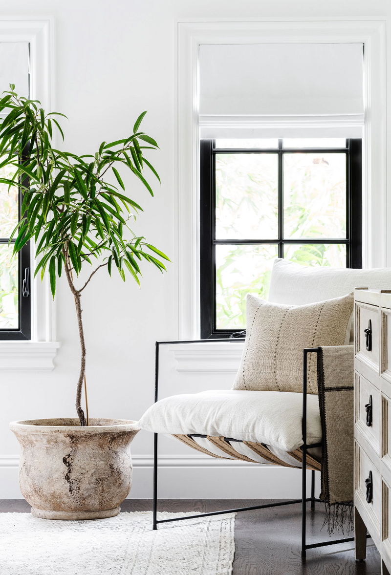 Modern living room with a chair, plant, and dresser.