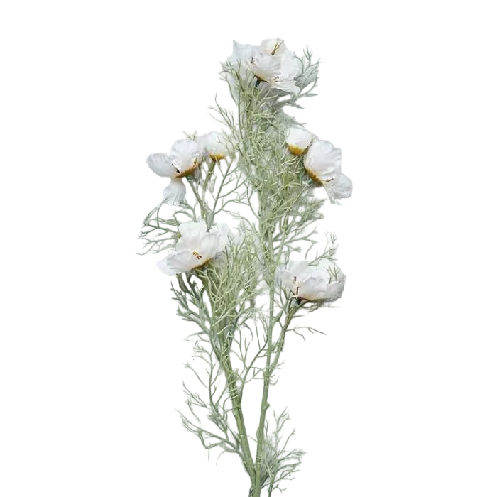 Single artificial cosmos cream stem on white background, tall slender faux floral