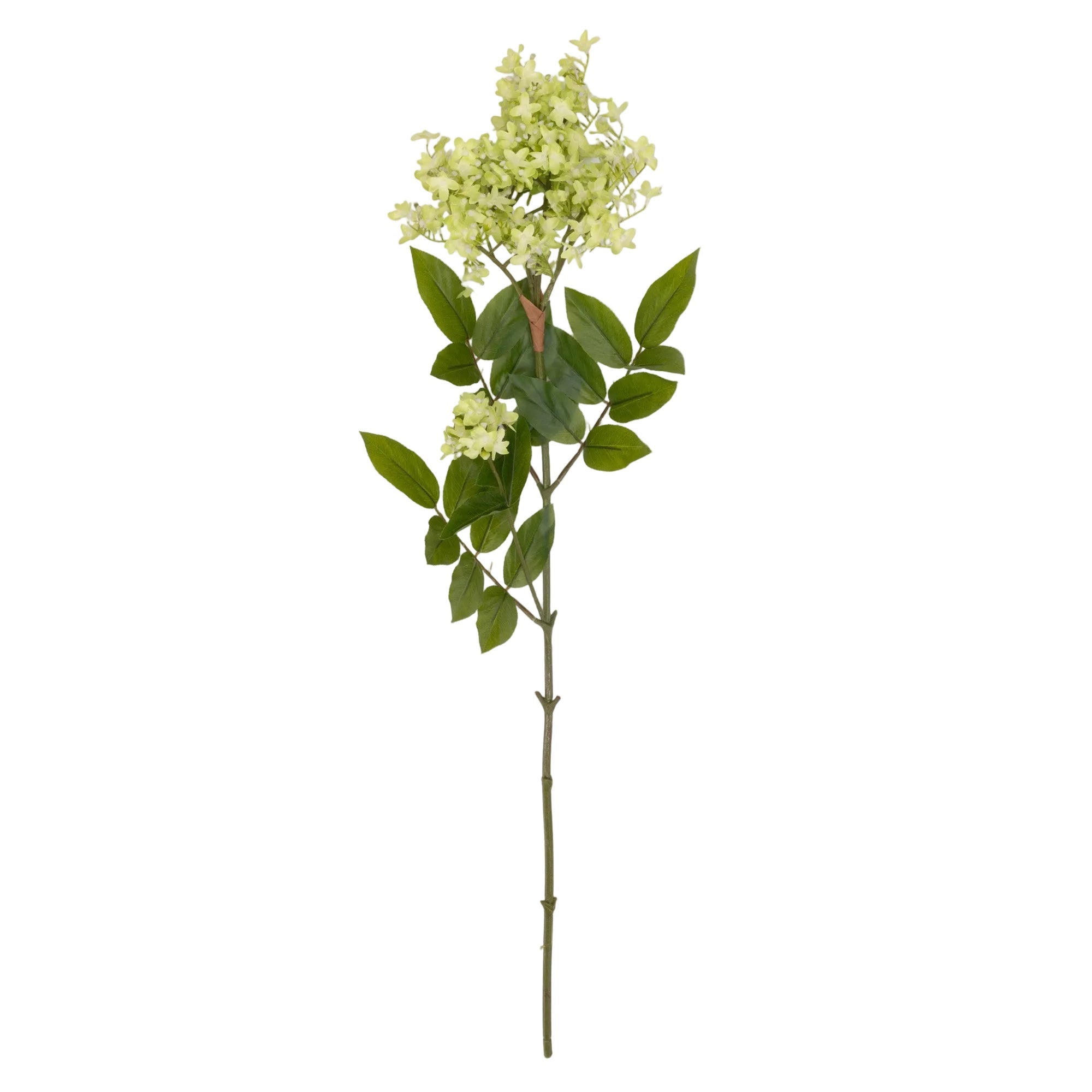 Faux Lilac Stem - Pistachio cutout by Abigail Ahern