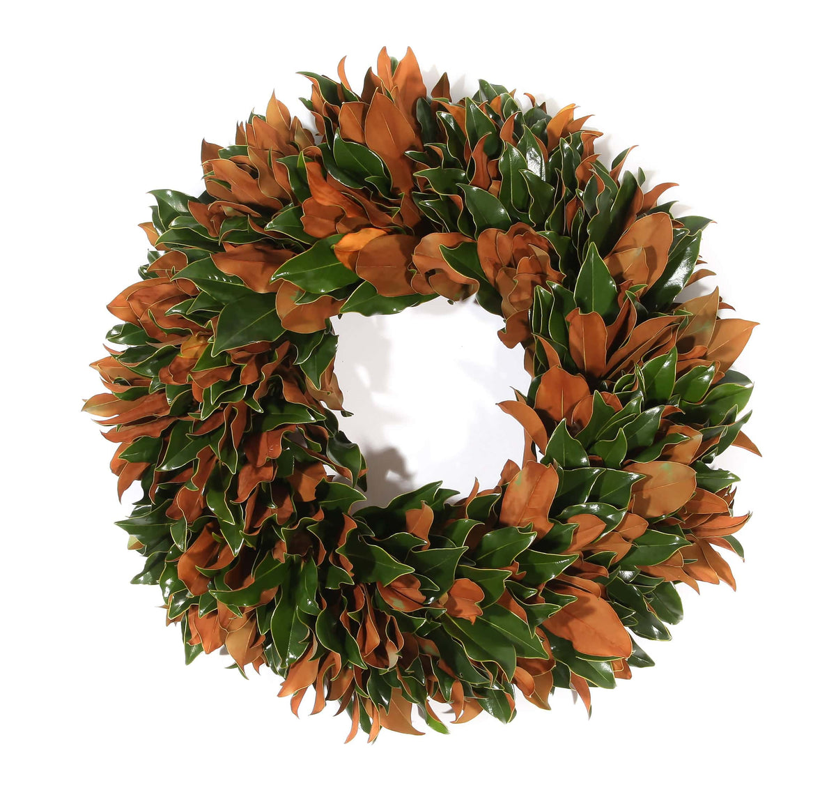 Fresh Southern Magnolia wreath, 28 inches, nearly 1,000 green and brown velvet magnolia leaves, shown on white