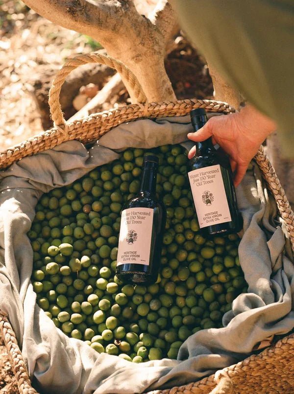 A hand lowers two Flamingo Estate Heritage olive oil bottles into a linen-lined basket brimming with freshly picked green olives in the sunlit grove.