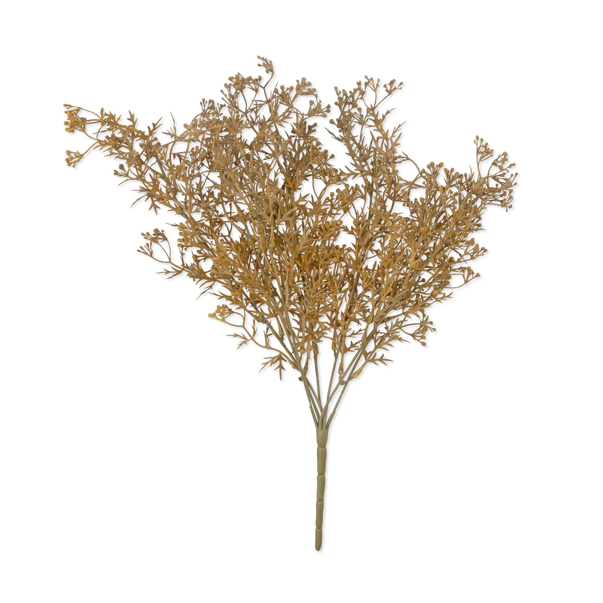 Faux meadow grass stem in flaxen tones, single stem on white background, by Abigail Ahern