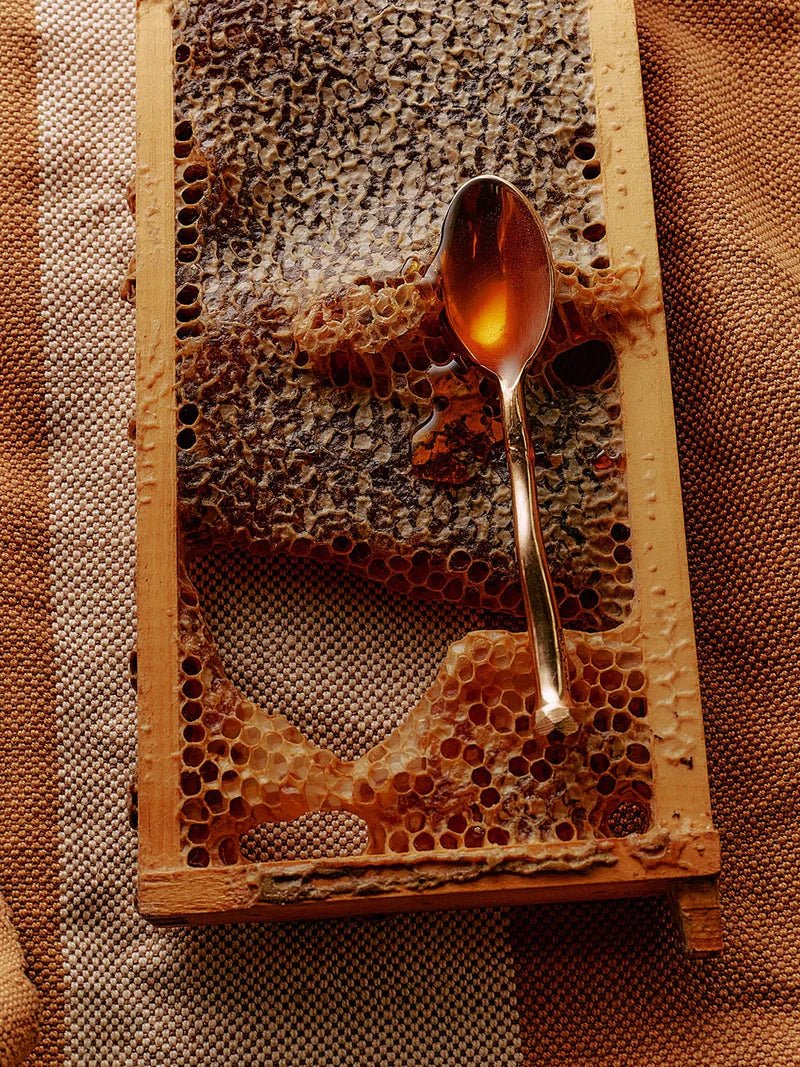 A wooden bee-frame holds raw honeycomb on jute, a brass spoon catching golden Flamingo Estate California wildflower honey.