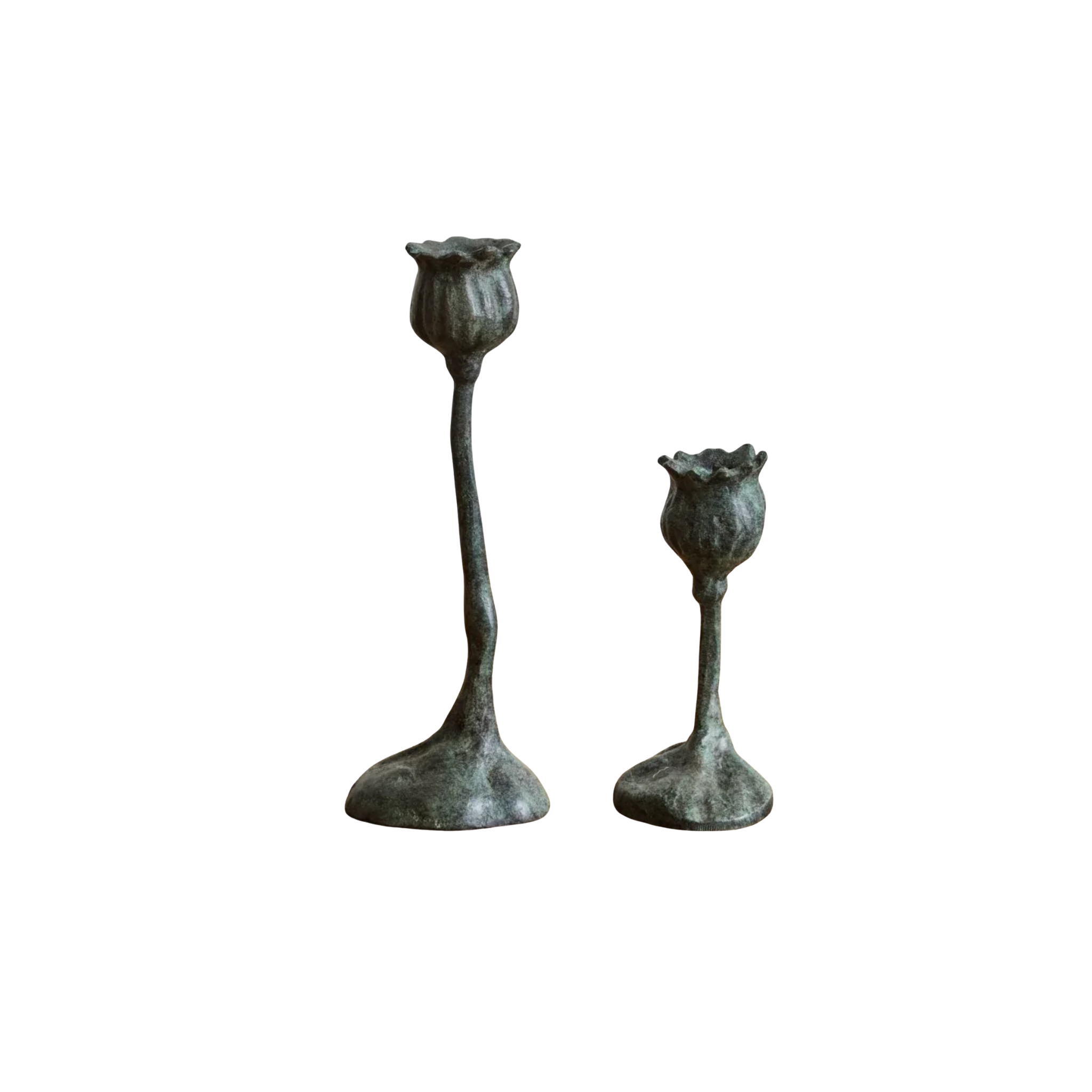 Bronze Poppy Candle Stick