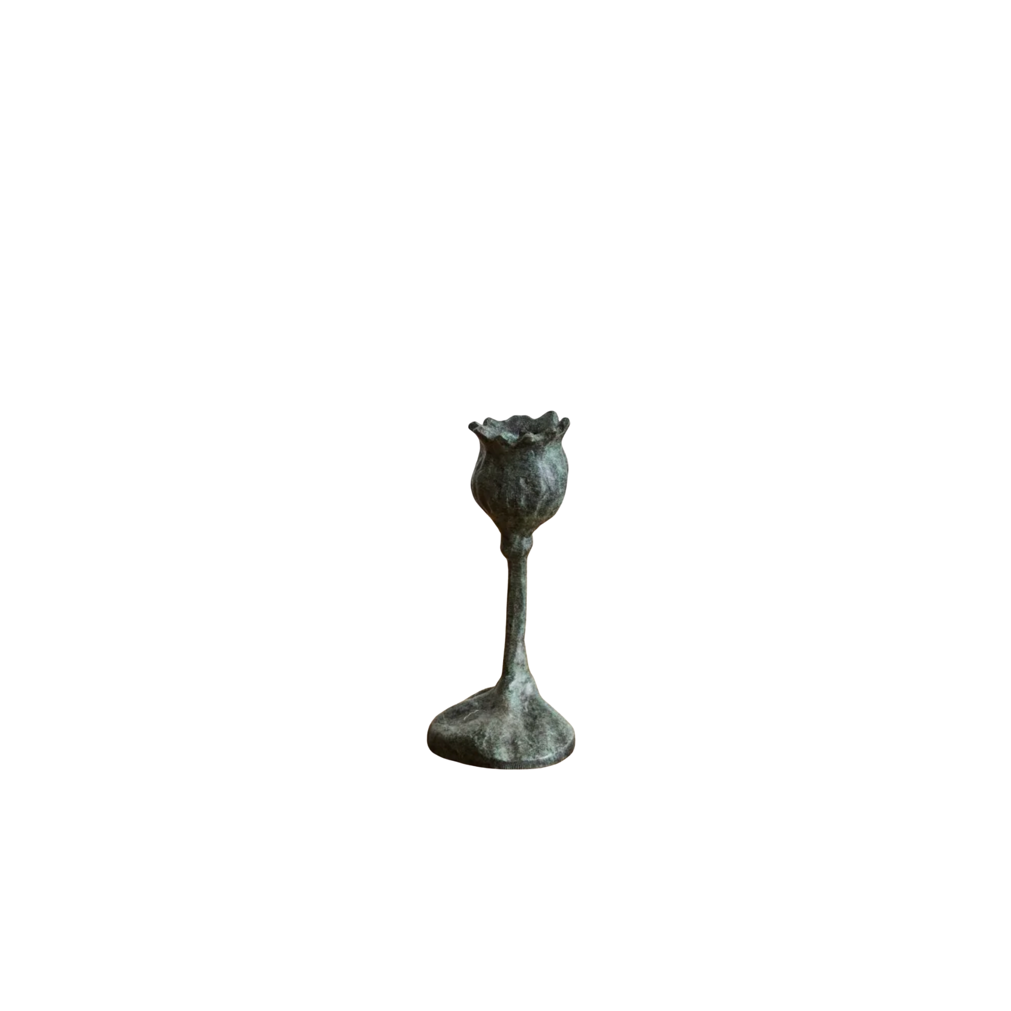 Bronze Poppy Candle Stick