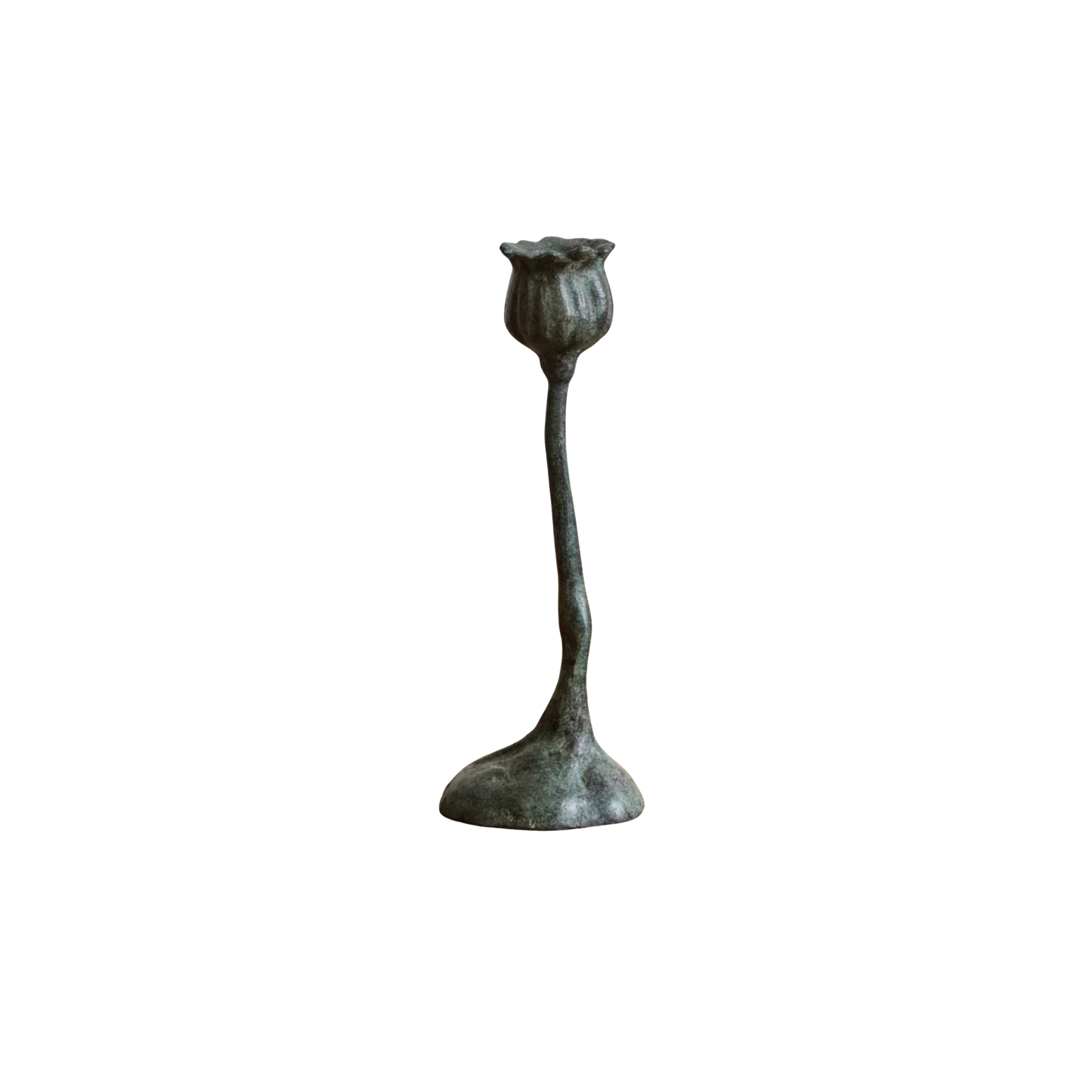 Bronze Poppy Candle Stick