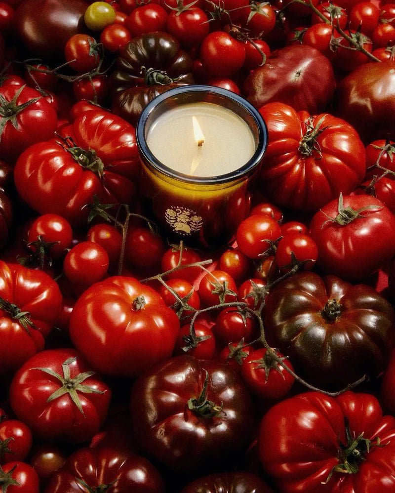 Overhead view of a Roma Heirloom Tomato Candle nestled deep among a harvest of red and purple heirloom tomatoes on the vine, the gold Flamingo Estate bee emblem catching the light.