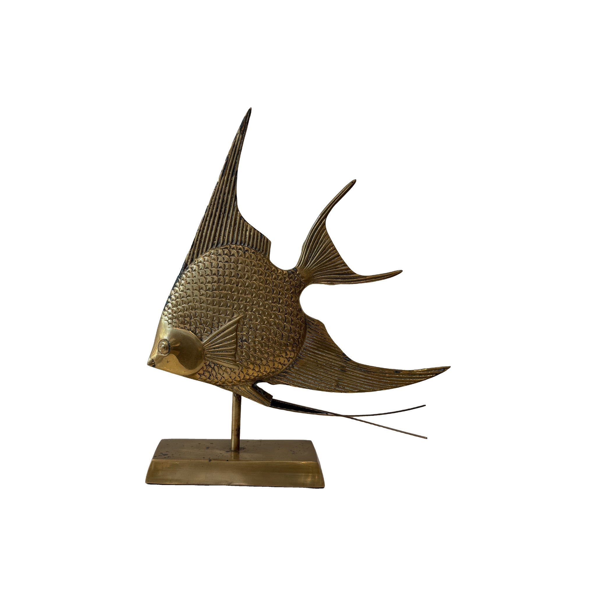Vintage brass angelfish sculpture on a rectangular plinth, long tapering dorsal and anal fins with fine cast scale work and wire barbels