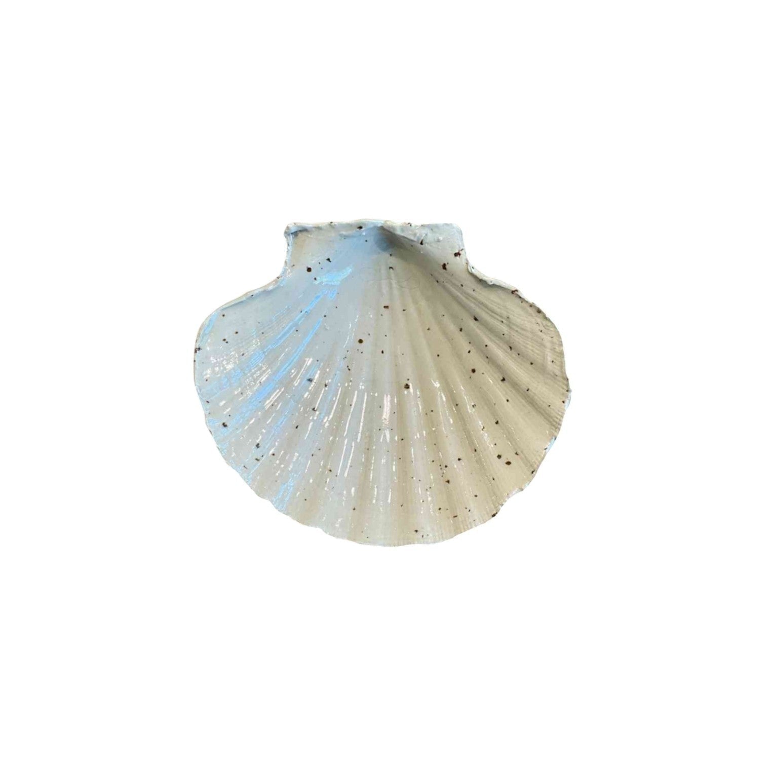 Calimia Home ceramic scallop shell trinket dish in a speckled cream glaze with elegant ribbed detailing.