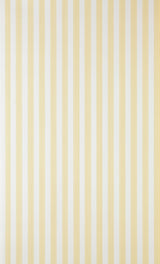 Closet Stripe 356 wallpaper
