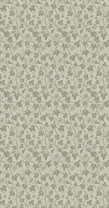 Ivy 6100 wallpaper