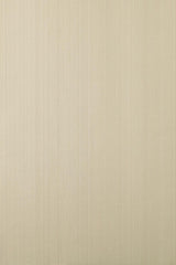 Drag 601 wallpaper