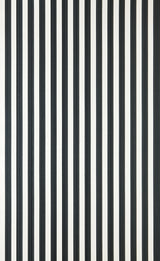 Closet Stripe 351 wallpaper