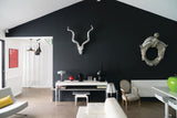 Pitch Black No.256 painted room