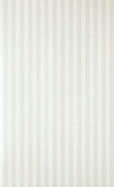 Closet Stripe 361 wallpaper