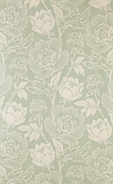 Peony 2313 wallpaper