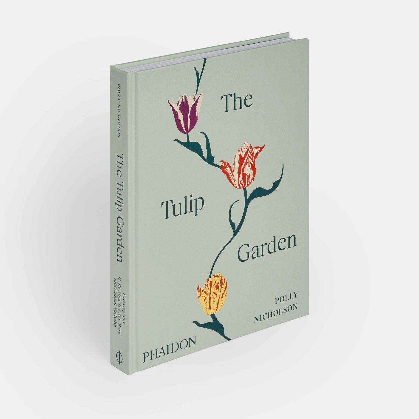 The Tullip Garden