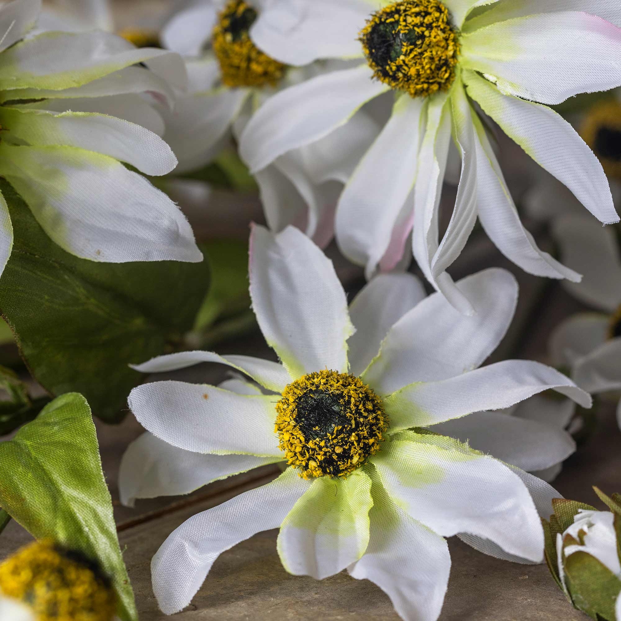 Artificial Wild Cosmos by Abigail Ahern