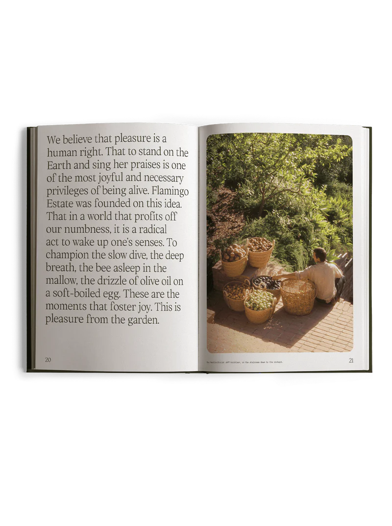 Fridays From the Garden Cookbook