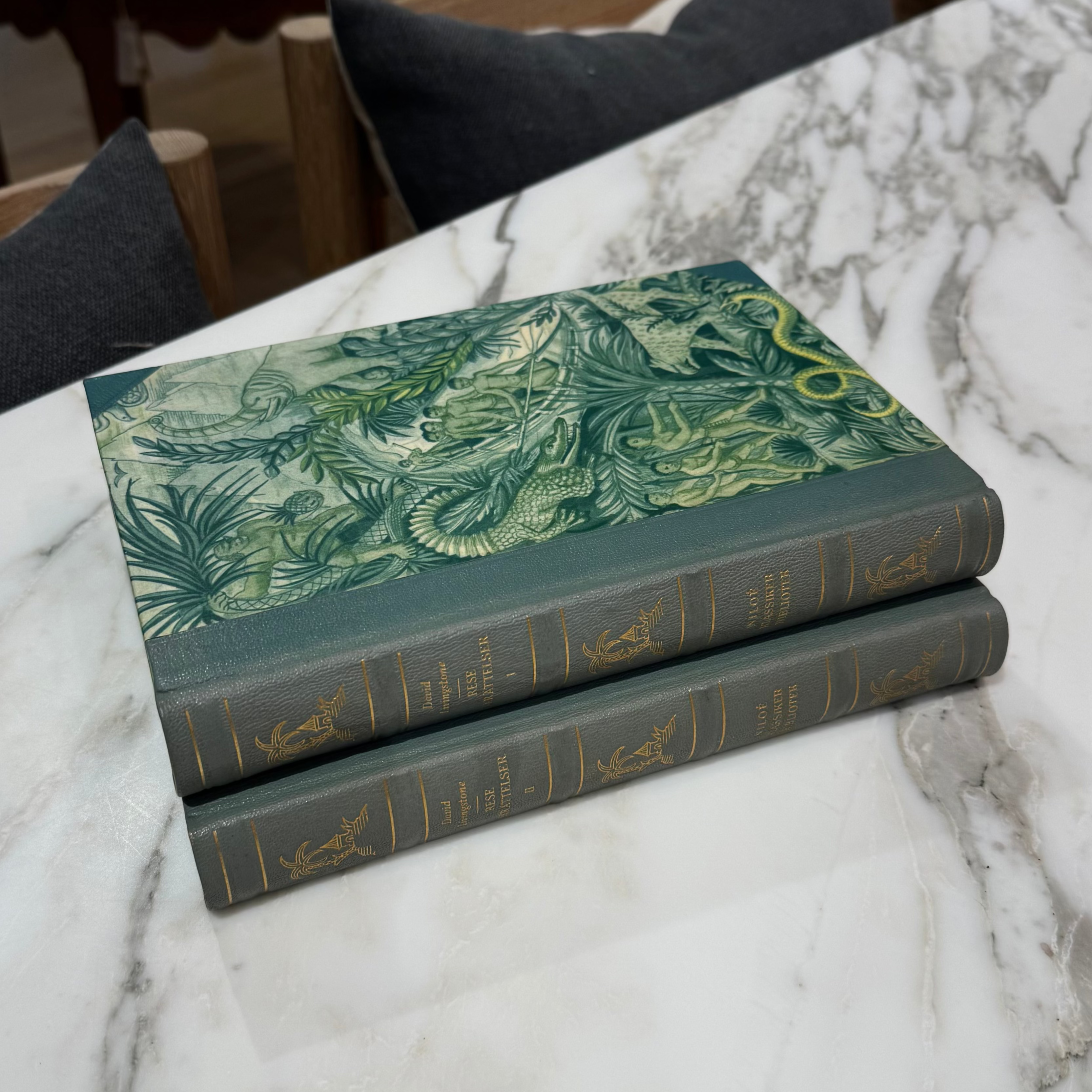 David Livingstone, Rese Berättelser - Book Set (S2)