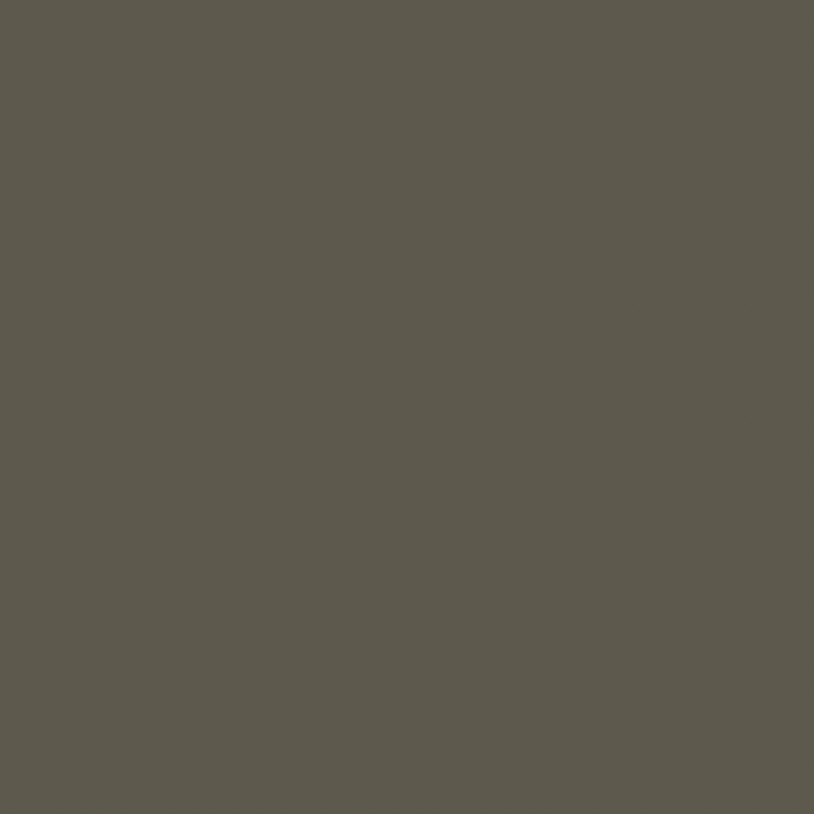 Reduced Green No.313 by Farrow & Ball