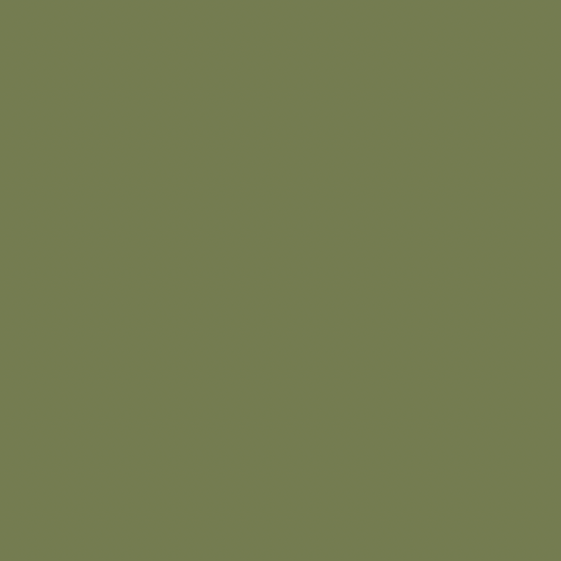 Sap Green No.199 by Farrow & Ball