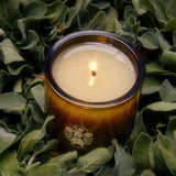 A brown glass Flamingo Estate Adriatic Muscatel Sage Candle from Calimia Home Shop glows softly, surrounded by velvety silver-green sage leaves that echo its earthy herbal scent.