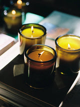 Three Flamingo Estate Adriatic Muscatel Sage Candles flicker on stacked books in a dim room, their warm flames casting golden light across the amber glass.