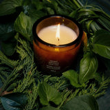 Flamingo Estate Ancient Agrigento Olive Tree candle in a dark glass vessel, lit and surrounded by fresh green foliage.