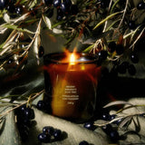Flamingo Estate Ancient Agrigento Olive Tree candle in a dark fluted glass vessel, lit and surrounded by olive branches.