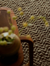 Armadillo Arroyo Rug in Thorn, detail of the felted wool weave and texture