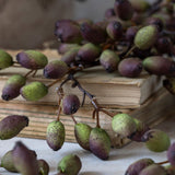 Close-up of Artificial Barberry by Abigail Ahern showing its green and plum berries resting on old books