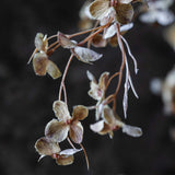 Close-up of Artificial Hibernal Blossom by Abigail Ahern showing its blush and taupe petals against a dark background
