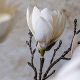 Close-up of Artificial Magnolia buds by Abigail Ahern on a dark branch
