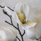 Close-up of an open Artificial Magnolia bloom by Abigail Ahern showing its cream petals and center