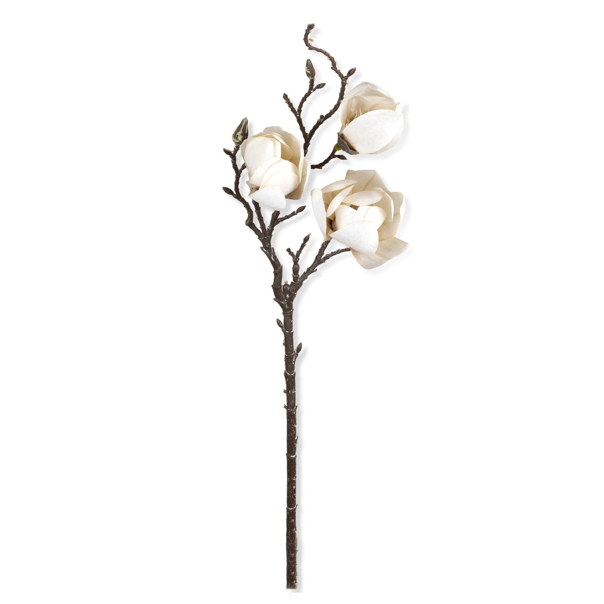 Artificial Magnolia by Abigail Ahern on a white background, a single dark branch with soft white blossoms