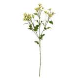 Artificial Meadow Daisy by Abigail Ahern on white background, single stem with delicate flower heads and verdant leaves