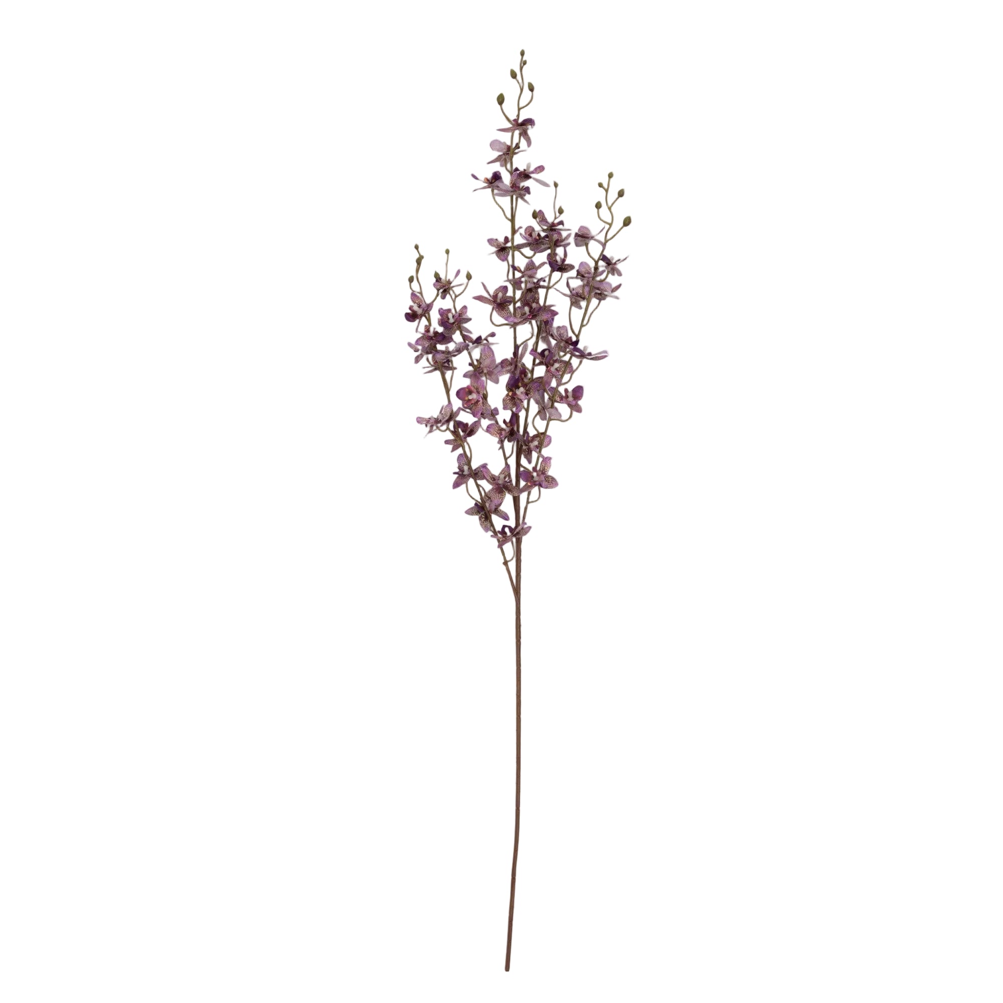 Faux Oncidium orchid stem with delicate airy blooms and natural movement, by Abigail Ahern