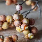 Close-up of Artificial Oriental Bittersweet Berry by Abigail Ahern showing its mottled blush, apricot and ochre berries