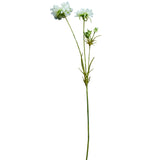 A single long green stem with two small white flowers and a few tiny buds, laid diagonally on a textured gray surface.