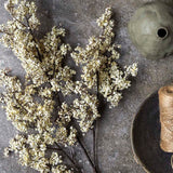 Close-up of Artificial Sedge Winter Dew by Abigail Ahern showing its soft pale clusters beside a ceramic vessel